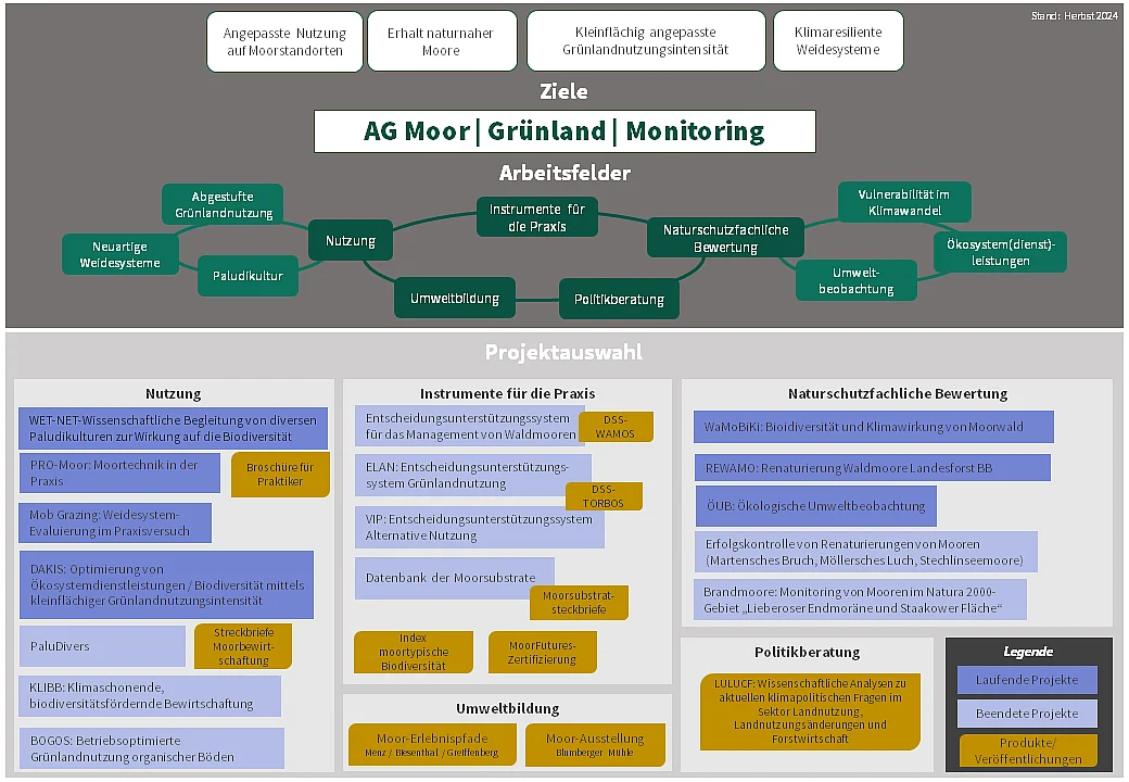 Grafik mit Arbeitsfeldern der AG