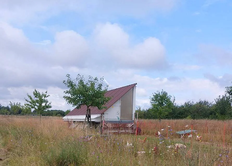 Ein Hühnerstall auf einer Wiese