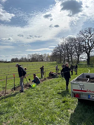 Studierende heben Pflanzlöcher aus und setzen Pflanzen ein.