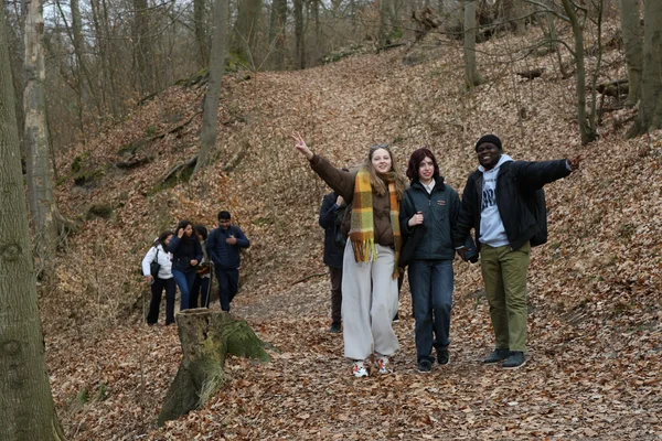 People walking in the forest