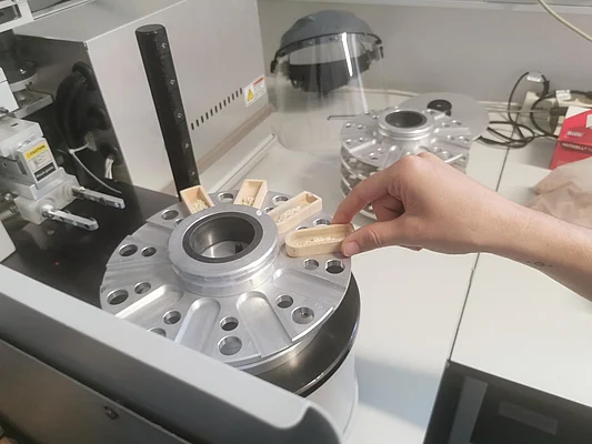 Einsetzen der Proben mit Weizenmehl zur anschließenden Verbrennung und Bestimmung des Gesamtstickstoffgehaltes. Untersuchung im Rahmen des Moduls „Lebensmittelverarbeitung und -recht“