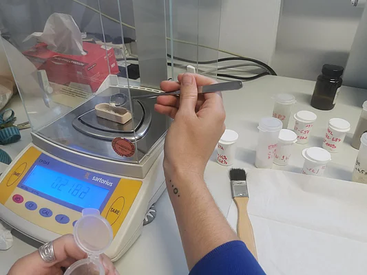 Vorbereitung der Proben mit Weizenmehl zur Anwendung des Dumas-Verfahrens zur Bestimmung des Gesamtstickstoffgehaltes. Untersuchung im Rahmen des Moduls „Lebensmittelverarbeitung und -recht“ 