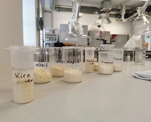 Im Becherglas bereitgestellte, zerkleinerte Kichererbsen für die Analyse des Trocknungsverlustes und Proteingehaltes. Im Rahmen des Moduls „Studienpartner Ökobranche“ mit dem Praxisbetrieb Peaceful Delicious