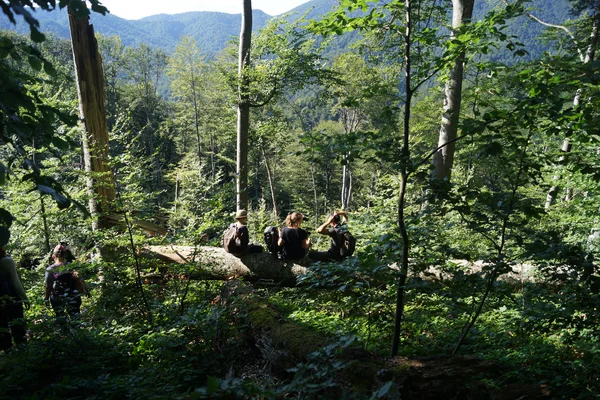 Studierende sitzen auf einer Lichtung.