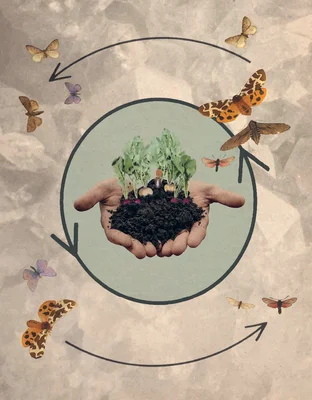 Zwei Hände halten Erde mit Sprösslingen