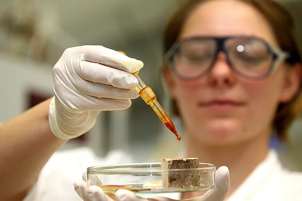 Eine Studentin gibt eine Färbelösung auf einen Prüfkörper in einer Petrischale.