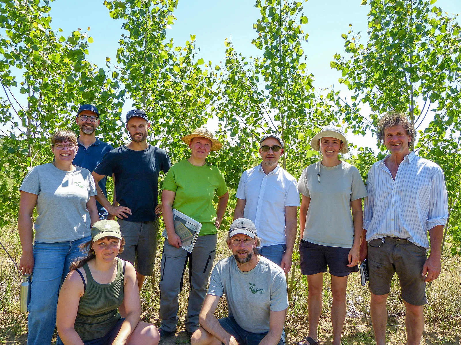 Forschungsprojekt: Klimarobuste Agrargehölze