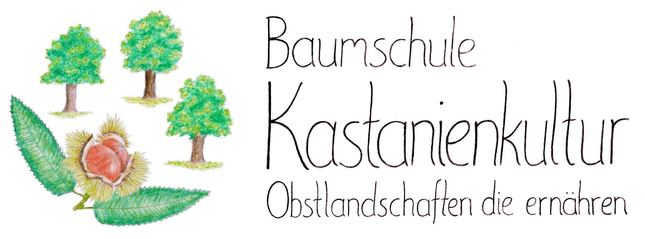 Baumschule Kastanienkultur
