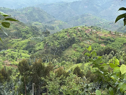 Landschaft Western Rwanda  