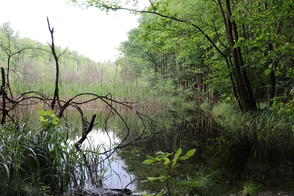 Gemeinsame Radtour mit MOZ Teufelsmoor