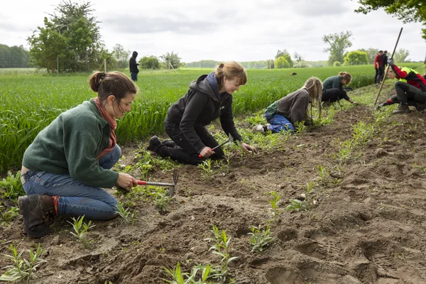 Ackerflächen und Weiden