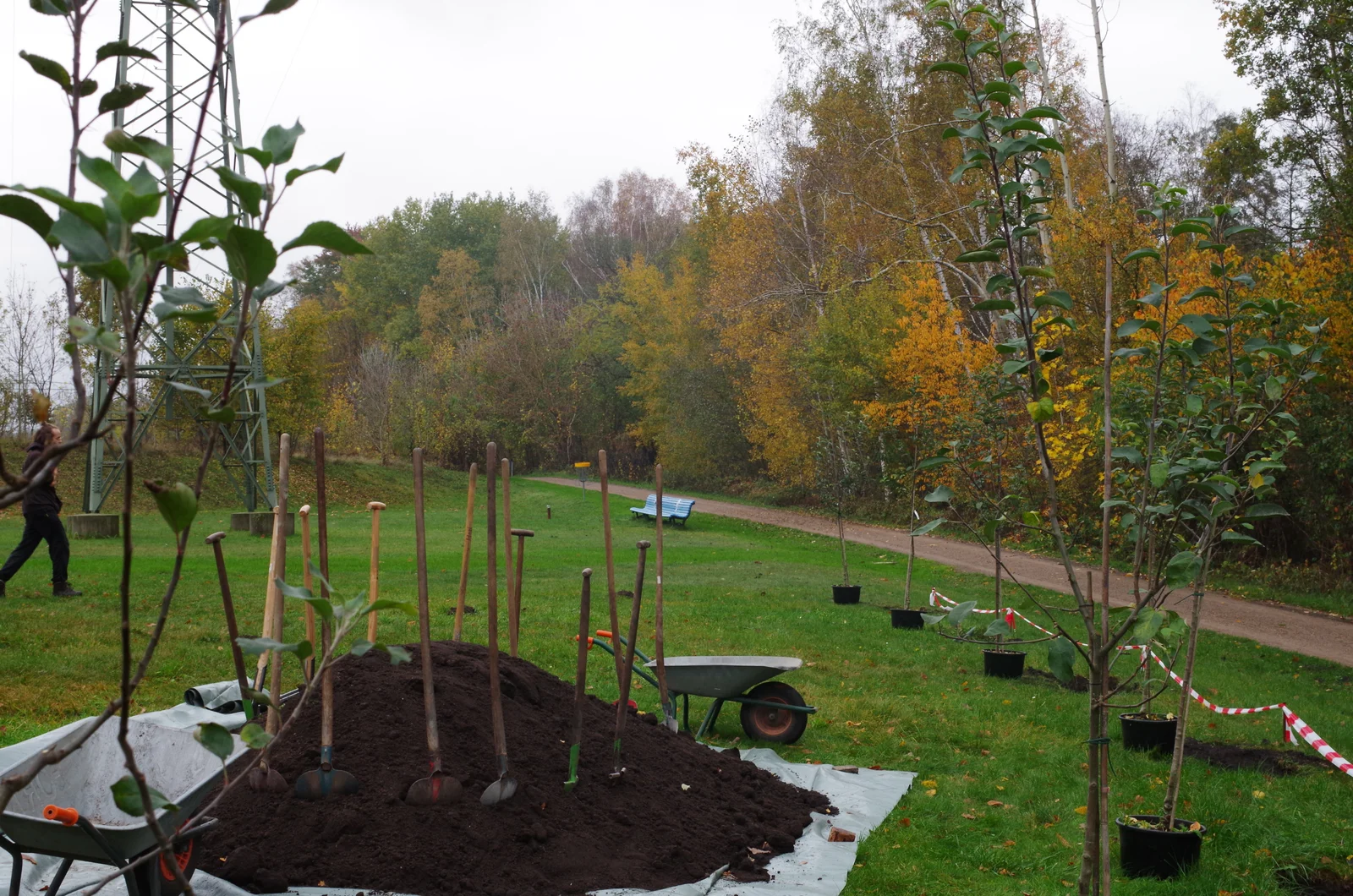 Ein Hügel mit Spaten liegt neben einem ausgehobenen Loch für einen Setzling.