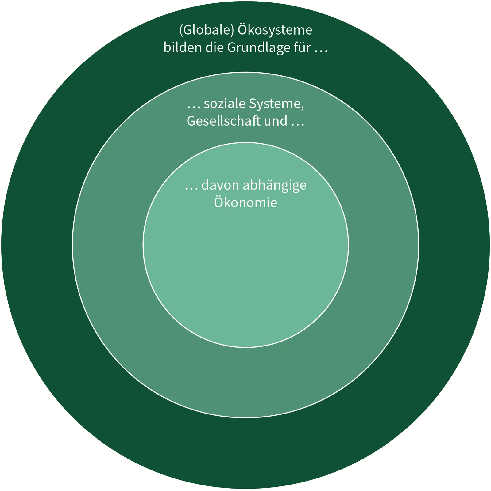 Die Abbildung verdeutlicht das Zusammenspiel von globalen Ökosystemen, sozialer Systeme und der Gesellschaft sowie der davon abhängigen Ökonomie. 