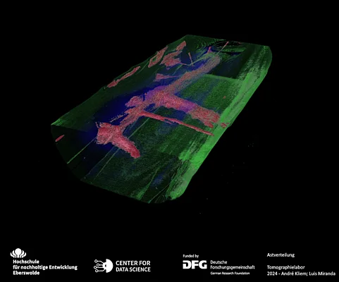 Der CT-Scan zeigt die Astverteilung im Inneren des Holzes.