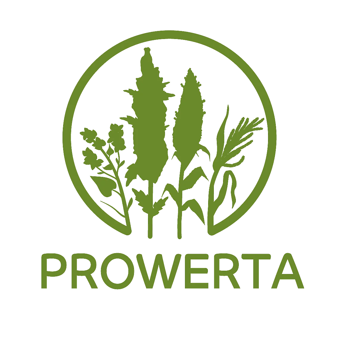 Prowerta