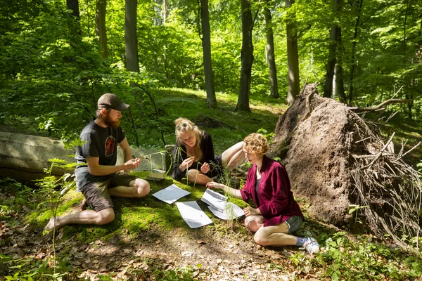 Datenaufnahme auf Versuchsflächen