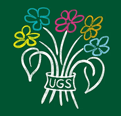 Undergraduate School