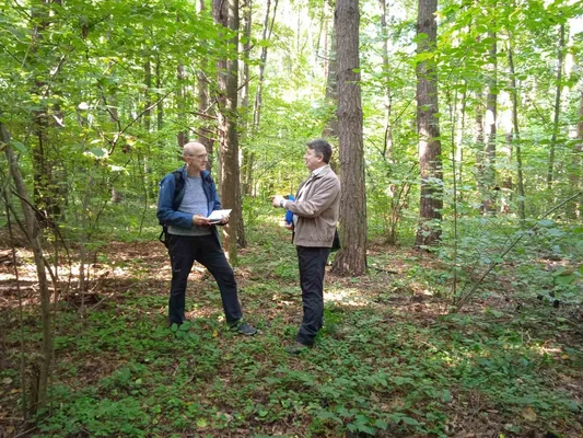 Zwei Menschen begutachten den Wald