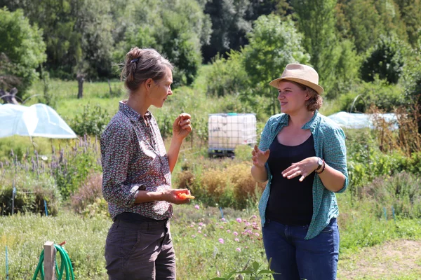 Seltenes Gemüse - Rundgang im VERN