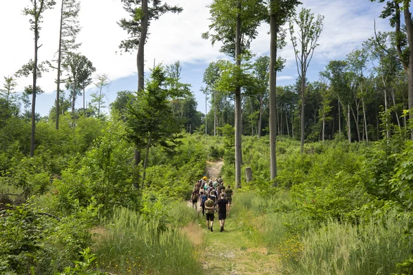 Exkursion zu Windwurffläche mit Prof. Dr. Spathelf