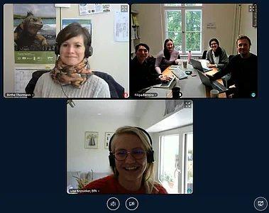 Screenshot of an online meeting