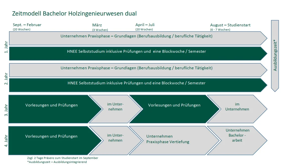 Das Zeitmodell zeigt die Praxisphasen und Theoriephasen im Verlauf des dualen Studiums Holzingenieurwesen an der HNEE.