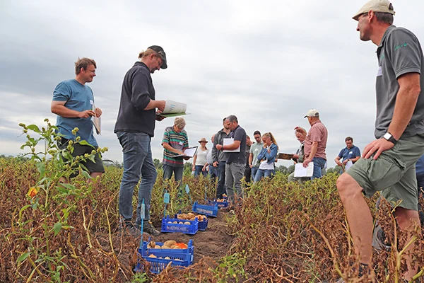 auf einem Feld stehen blaue Plastikkörbe mit Kartoffeln und Namensschild, die von interessierten Landwirten betrachtet werden
