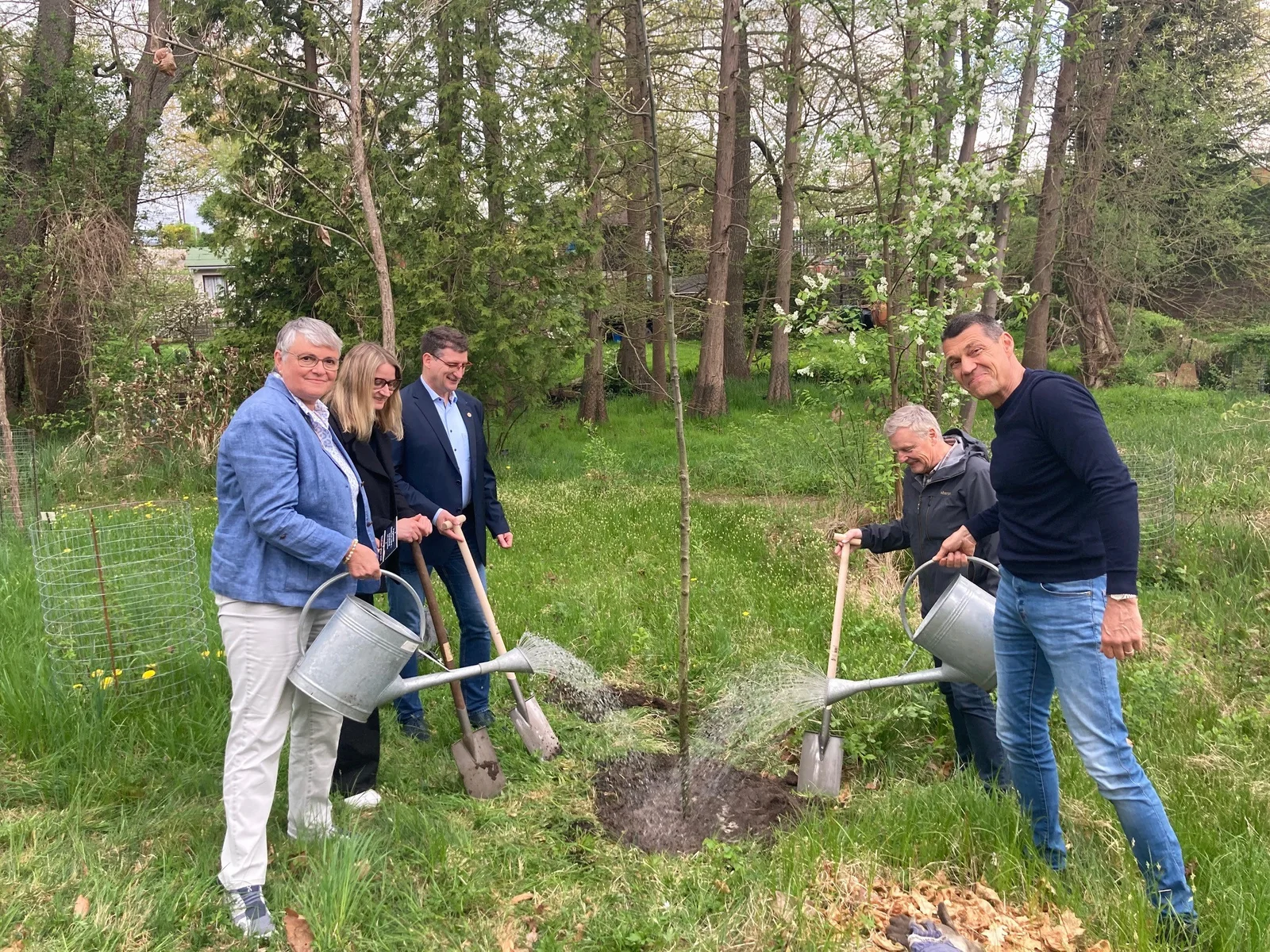 Baum des Jahres 2025 