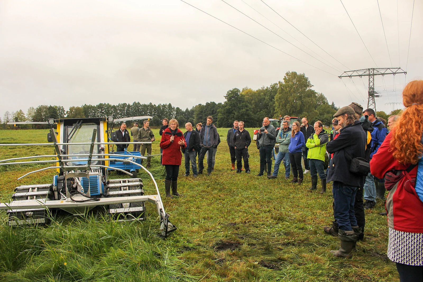 Landwirtschaft auf Moorböden