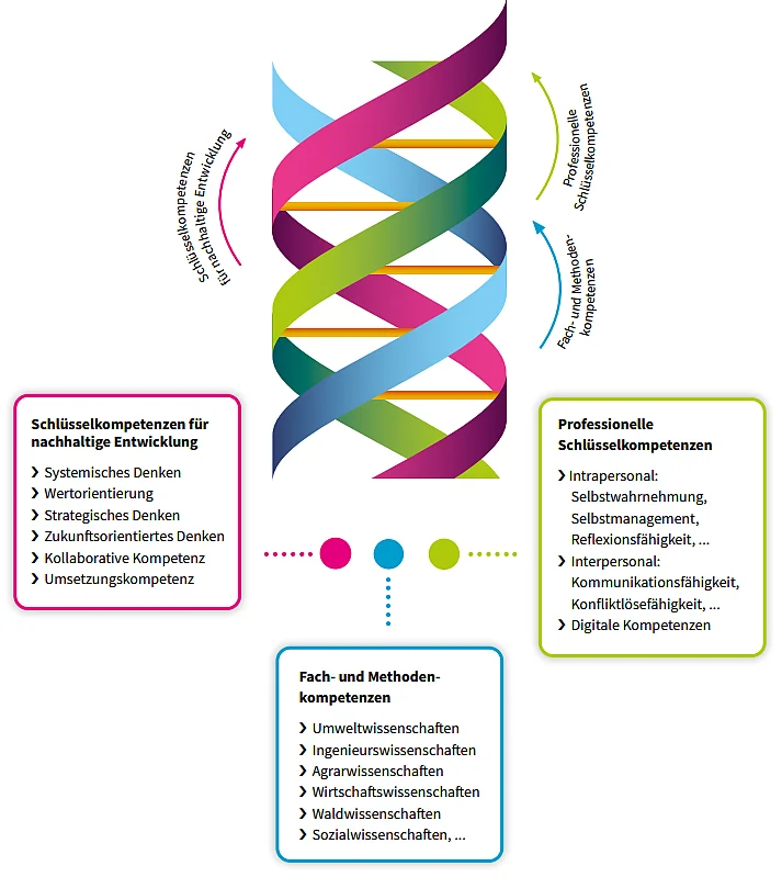 Visualisierung des Eberswalder Studienmodell