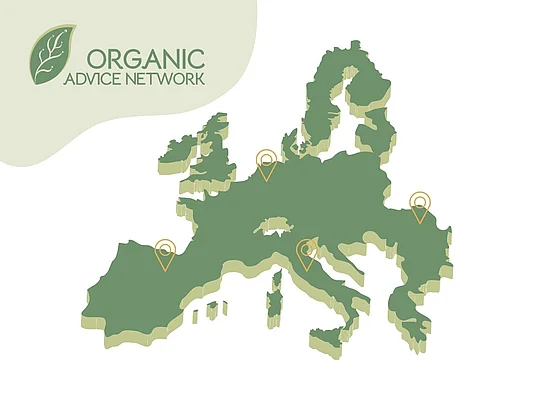 Abbildung des Netzwerks