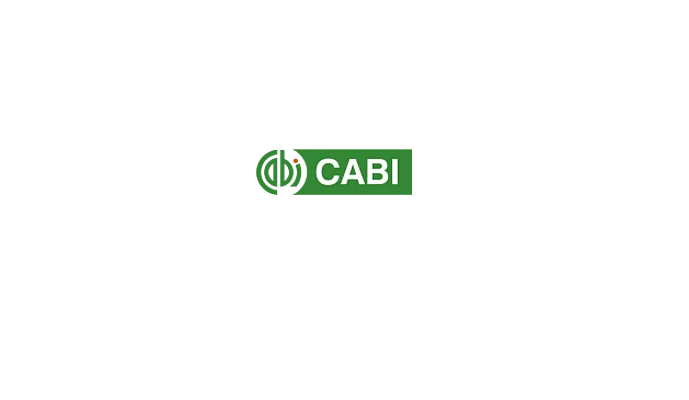 Cab Abtracts Logo