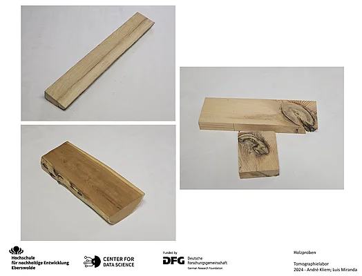 Holzproben